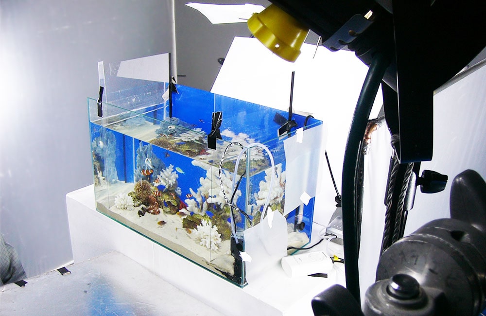 映像撮影 水槽レンタル