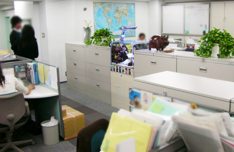 狭い場所でもレンタルできる水槽