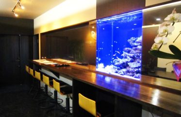 D株式会社様 海水魚水槽