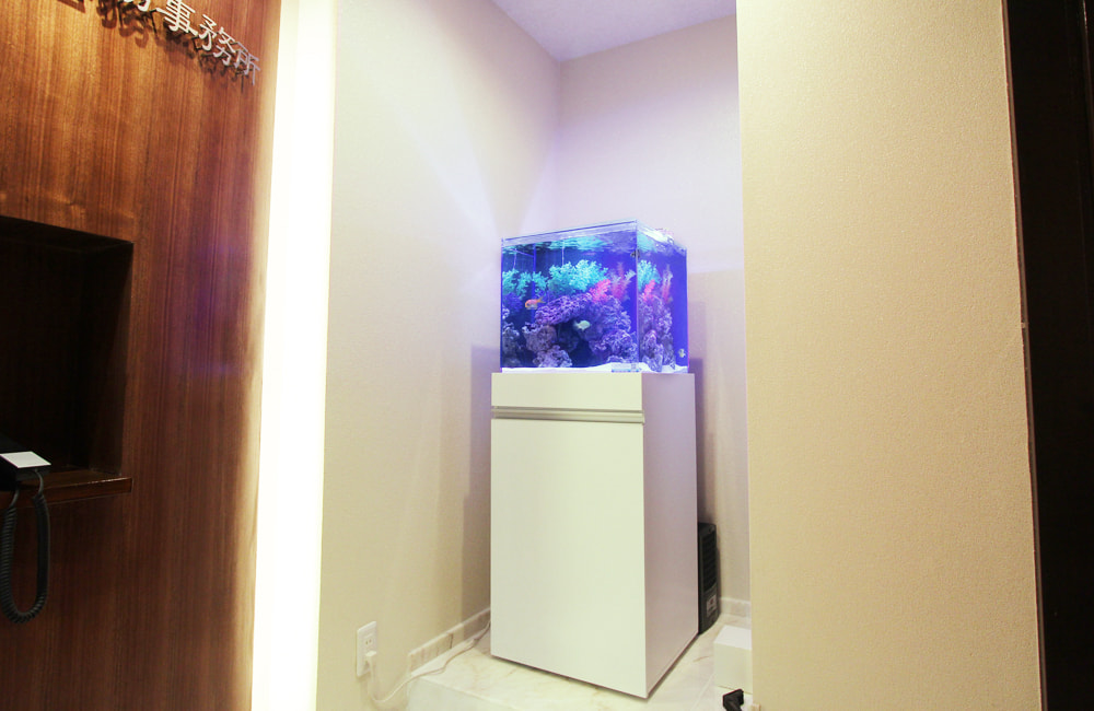 45cm海水魚水槽のレンタル・リース料金について