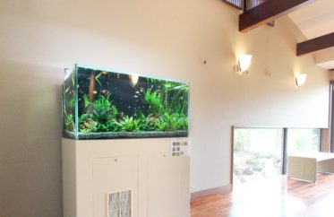 K旅館様 淡水魚水槽