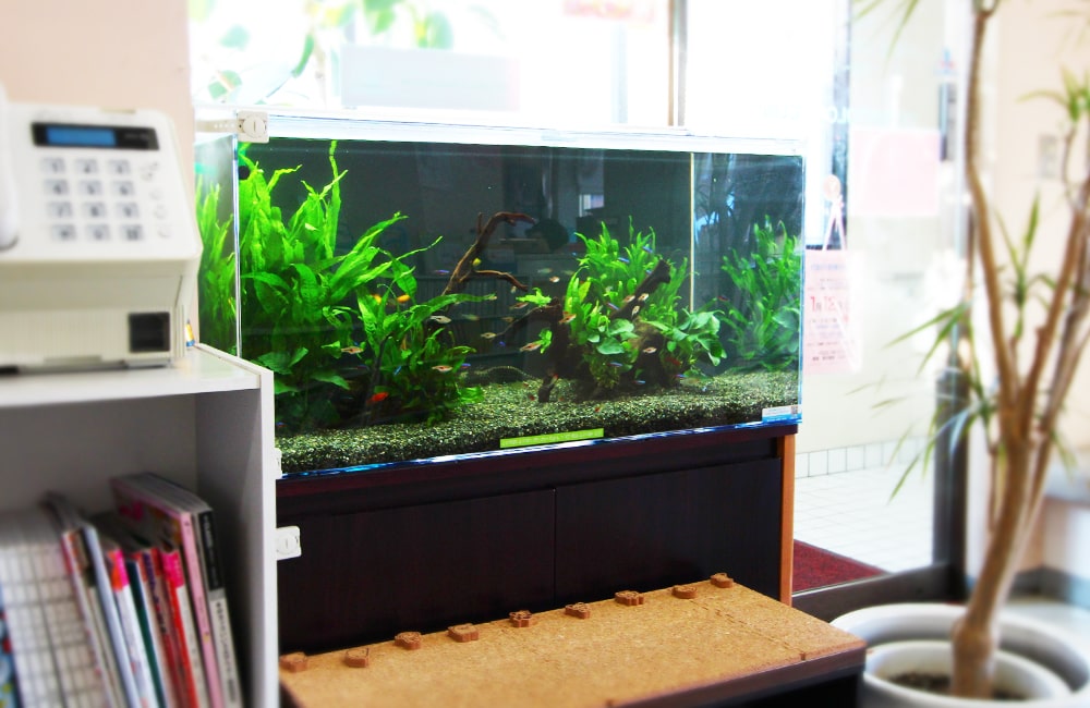 Y皮膚科クリニック 様のレビュー