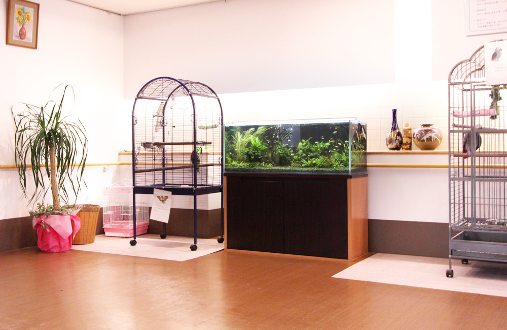 120cm淡水魚水槽のレンタル・リース料金について
