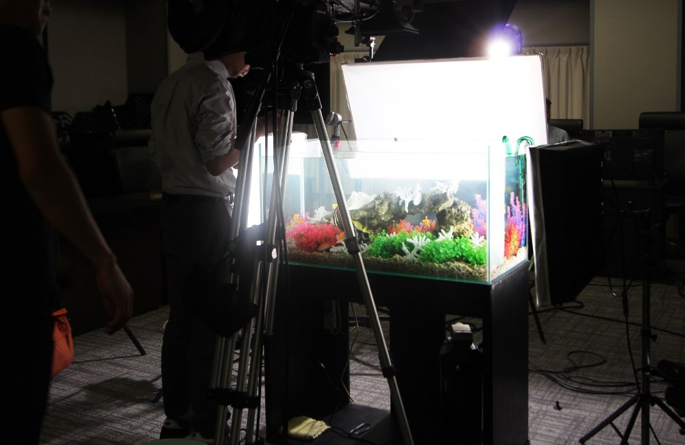 ＣＭ 水槽レンタル