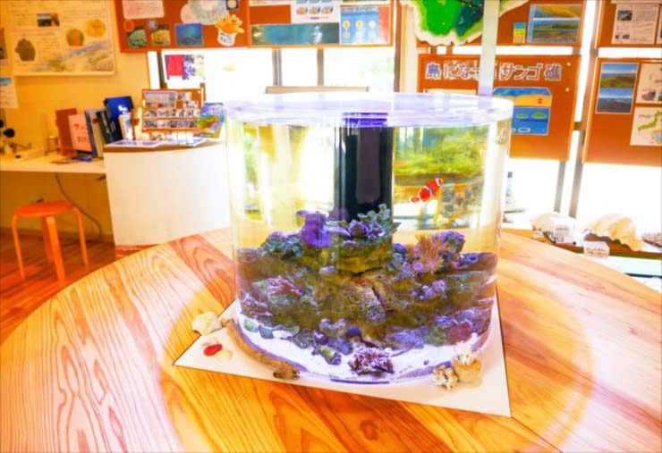 研究所に特注円柱水槽を設置