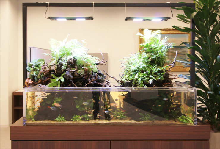 アクアテラリウム水槽のレンタル・リース料金について