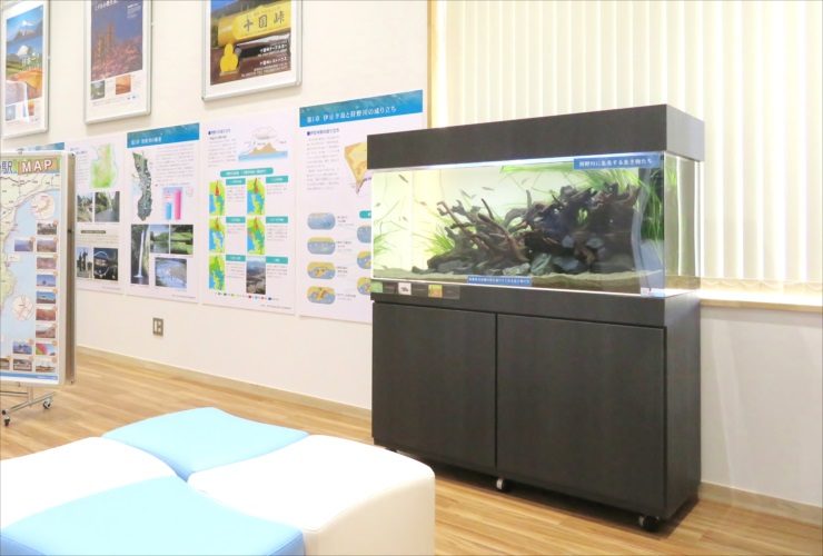 学校 施設 水槽レンタル