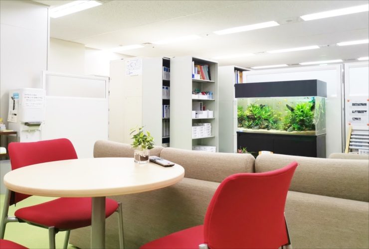 90cm淡水魚水槽のレンタル・リース料金について