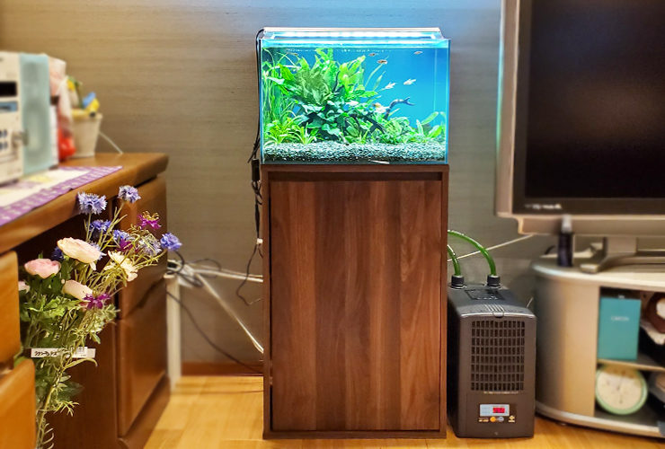 K 様のレビュー