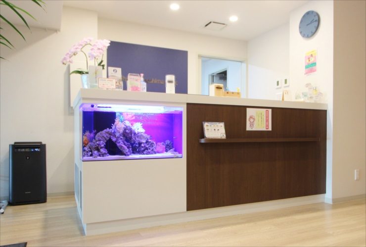 家具埋め込み水槽レンタル