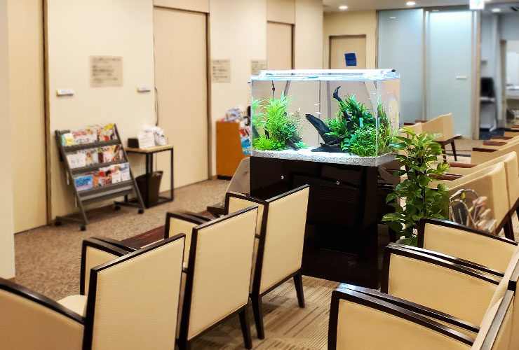 水槽レンタル 設置する場所