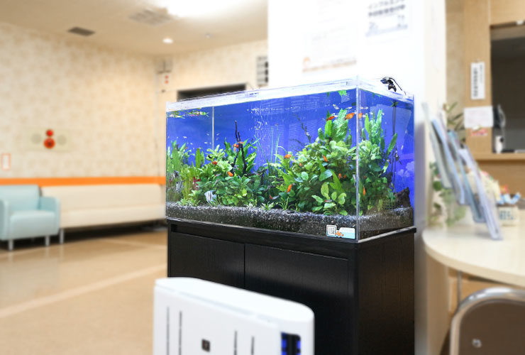 90cm水槽レンタル