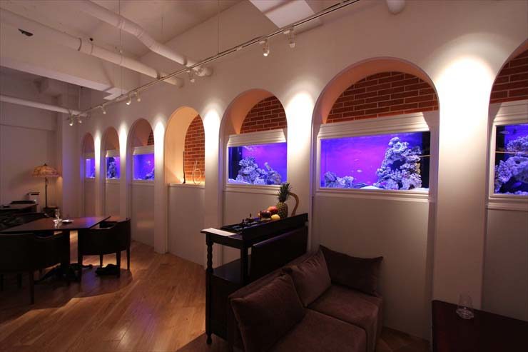 飲食店 水槽レンタル