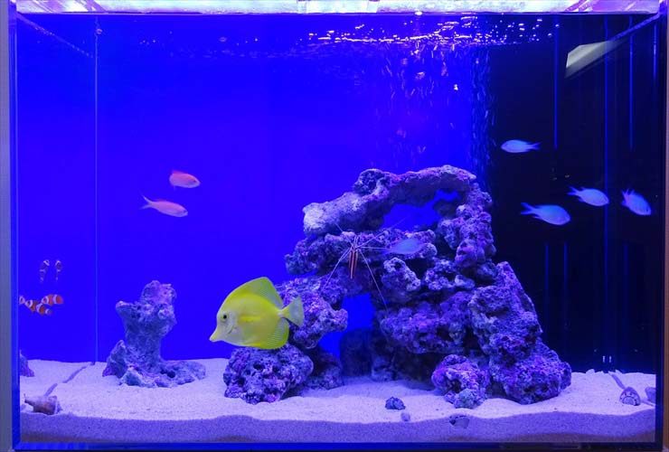 K 様のレビュー