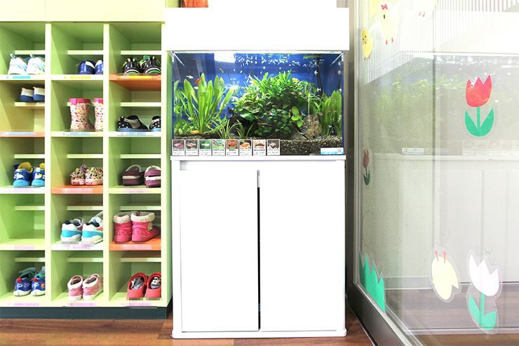 幼稚園・保育園