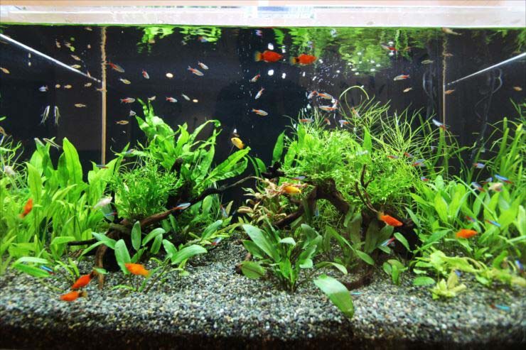 K 様のレビュー