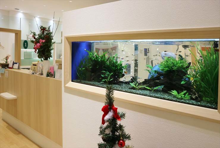 歯科クリニック 水槽