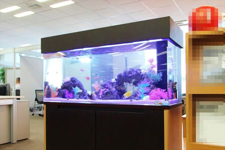 120cm水槽レンタル