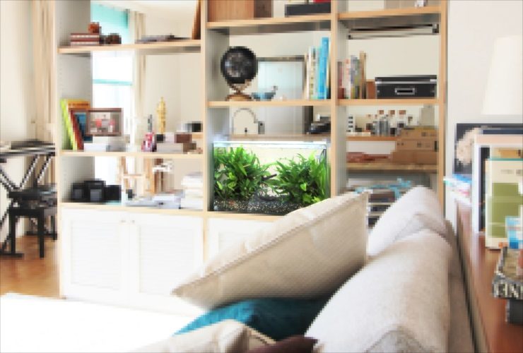 ドラマ 水槽レンタル