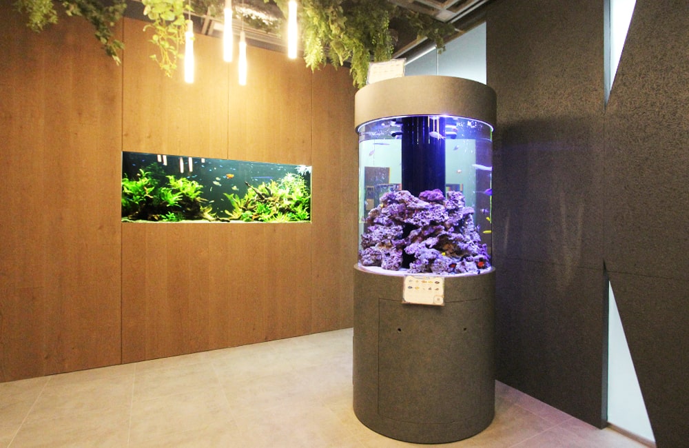 水槽一式販売・設置