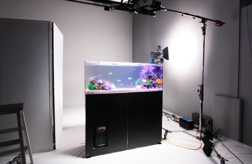 撮影・イベント用水槽レンタル