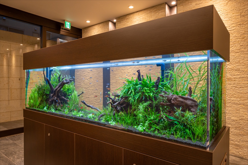 大型水槽レンタル