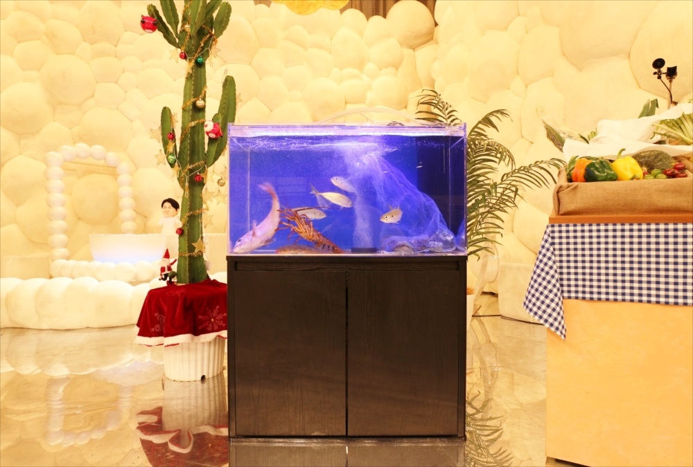 テレビ番組 水槽レンタル