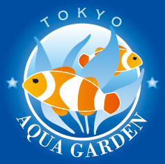 執筆者 アクアガーデン