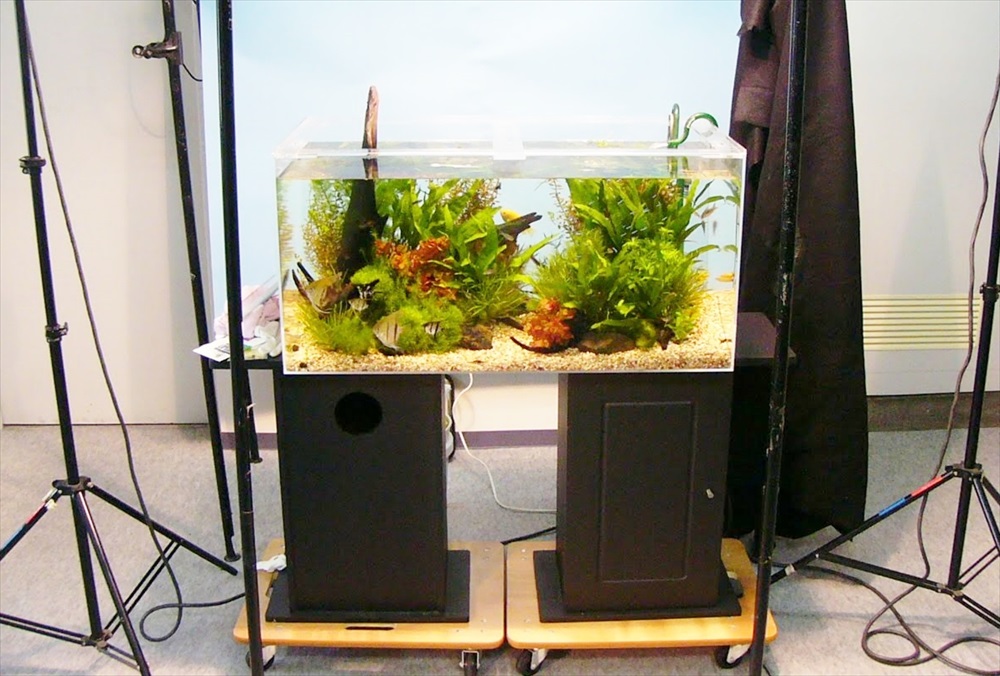 雑誌撮影 水槽レンタル