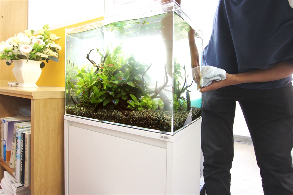 水槽メンテナンスサービス