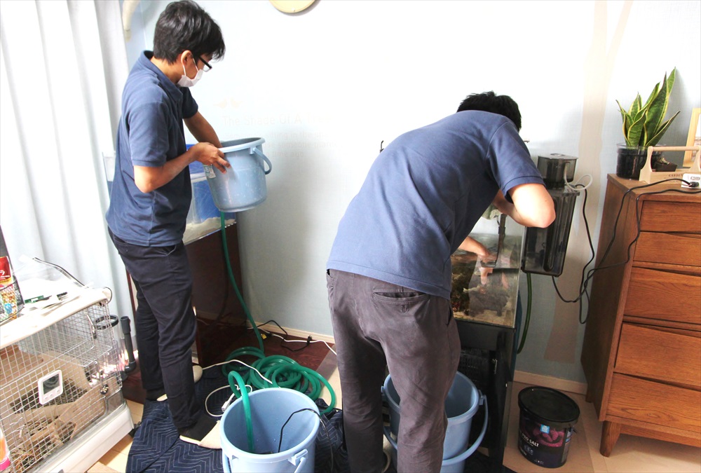 水槽レンタル Ｑ＆Ａ 停電