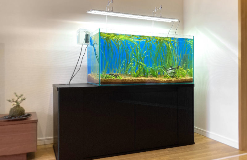 水槽引っ越しサービス