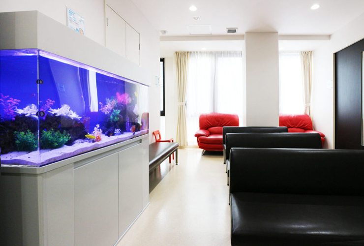 病院・クリニック・歯科医院に熱帯魚水槽を設置する理由とは？