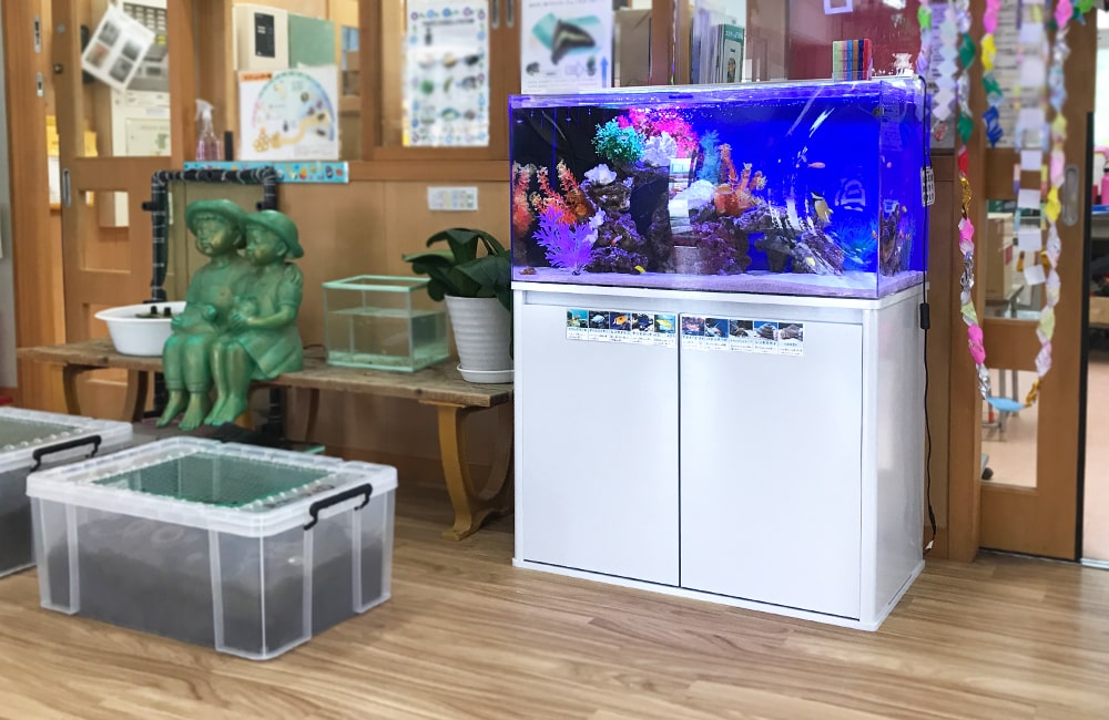 幼稚園 保育園 水槽レンタル
