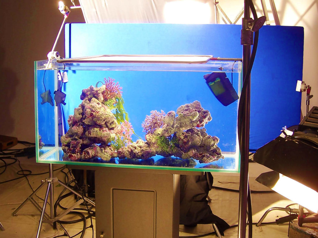 撮影で水槽を使う！メディアの短期水槽レンタル事例22選とご利用ポイント