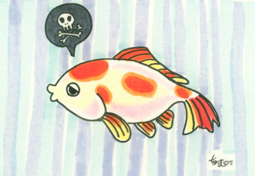 【金魚の病気まとめ】金魚の飼育で気をつけたい病気とその対策とは