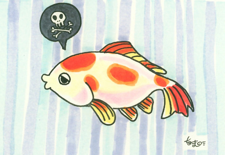 水槽レンタル Ｑ＆Ａ 追加購入