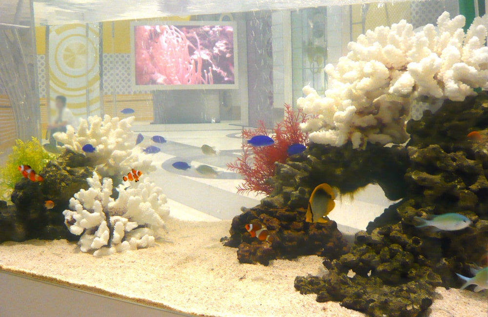 メディア紹介・取材情報一覧