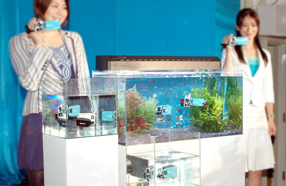 イベント用水槽レンタル事例 防水性アピール