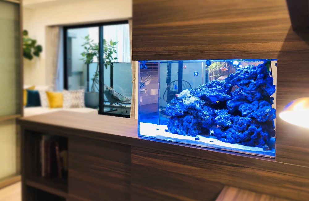 自宅 水槽レンタル