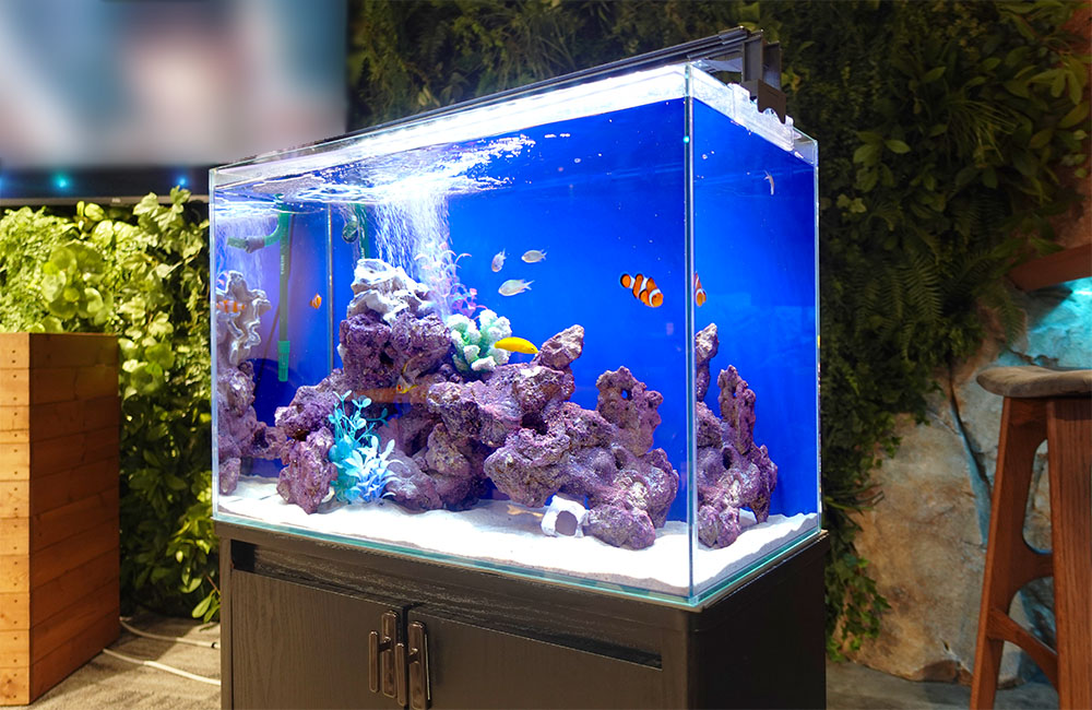 60cm水槽レンタル