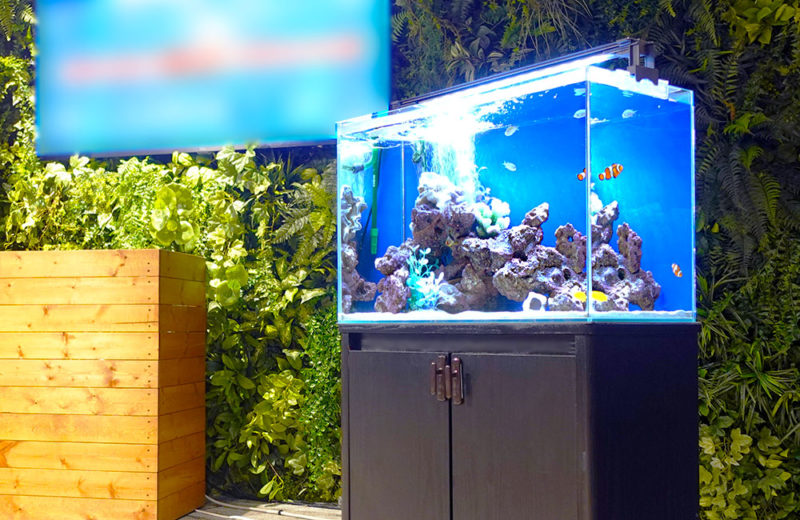 撮影・イベント