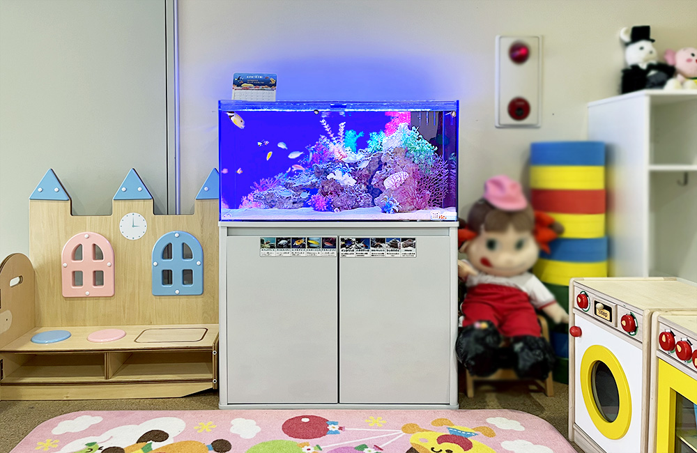 幼稚園・保育園