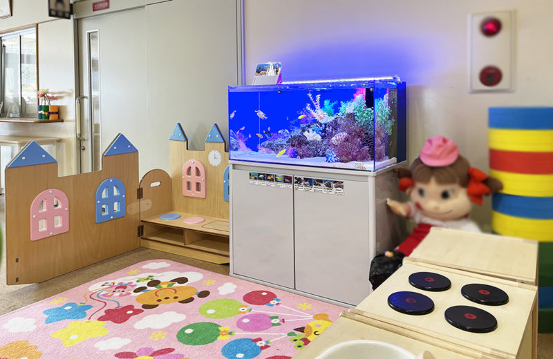 幼稚園・保育園