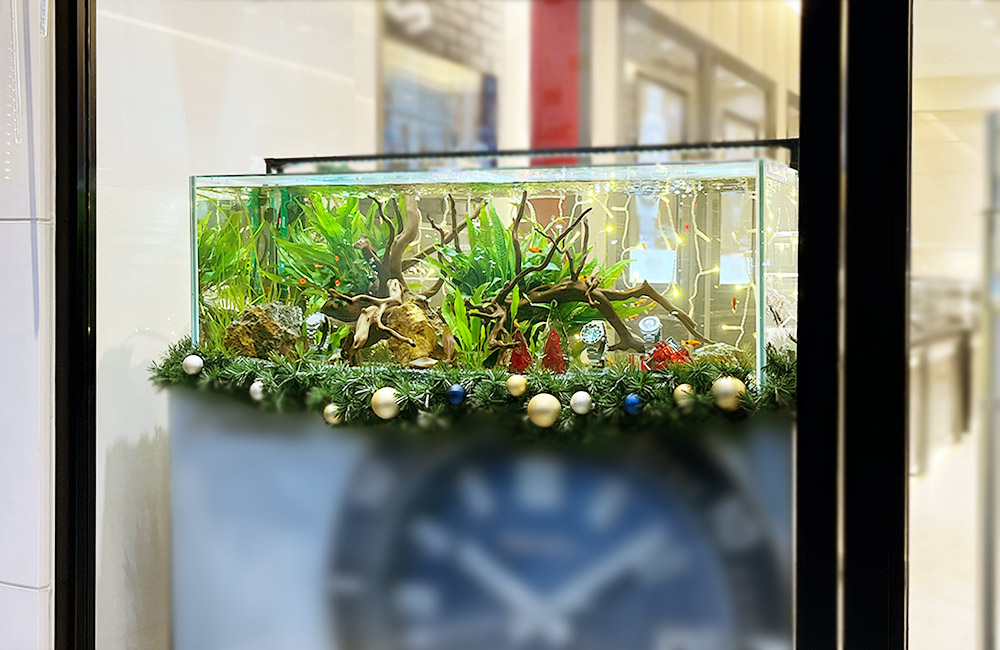 期間限定ディスプレイ 水槽レンタル