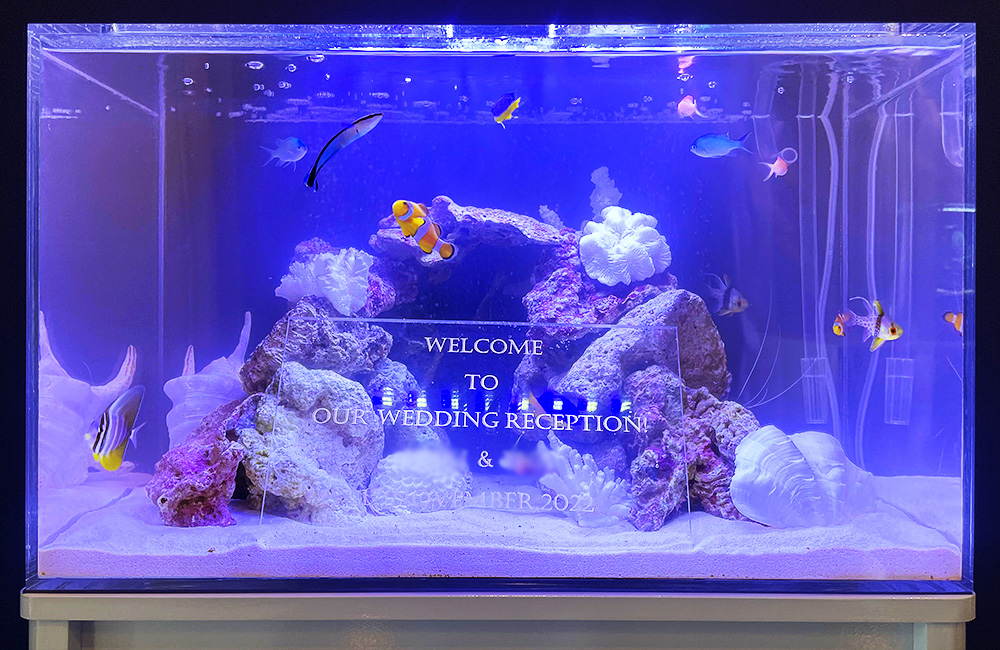 結婚式のウェルカム水槽