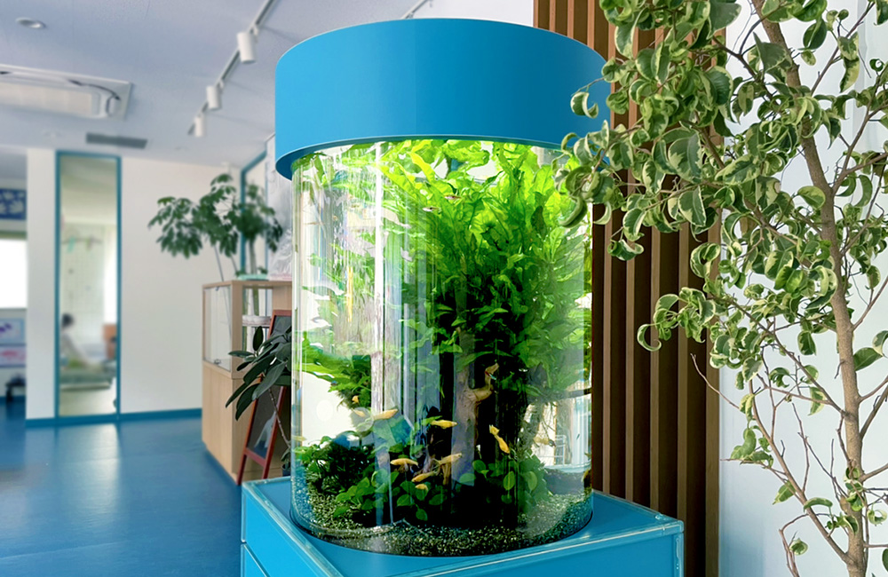 円柱水槽レンタル