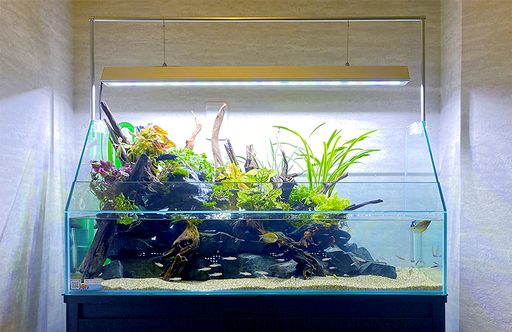 料金シミュレーション アクアテラリウム