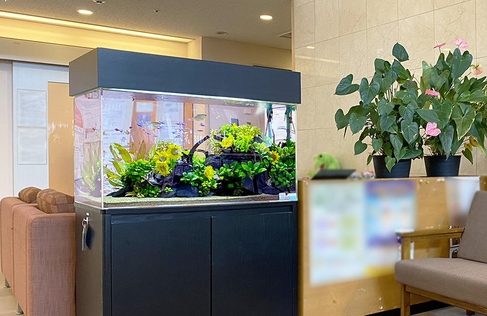 介護施設 水槽レンタル