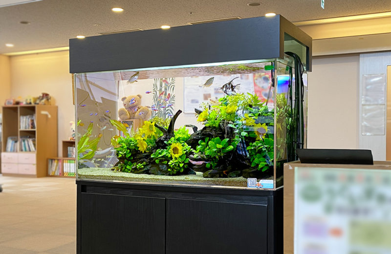 老人ホーム・施設